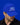 Ford Racing Electric Blue Cap