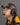 Cub Cadet 2026 Team Cap
