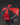 Walkinshaw TWG Racing Team Umbrella